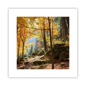 Pôster - Tempo para descansar - 30x30 cm