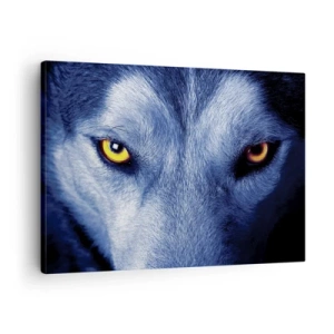 Quadro em tela - Close-up do olhar intenso de um lobo contra um fundo escuro - 70x50cm - Olhar hipnotizante - Decoração de parede moderna para a sala de estar e quarto ARTTOR