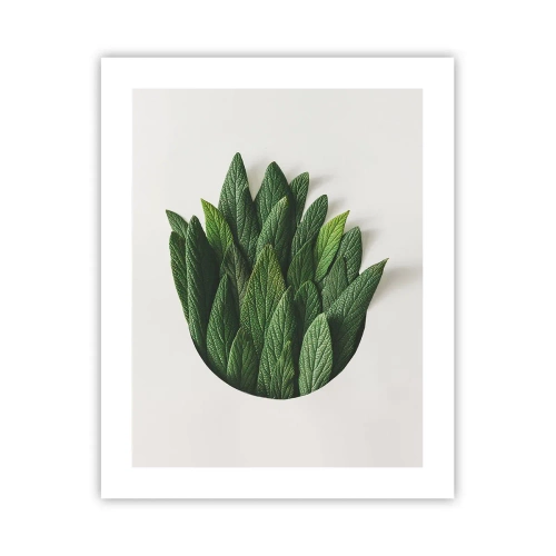 Pôster - Curiosidade indomável - 40x50 cm