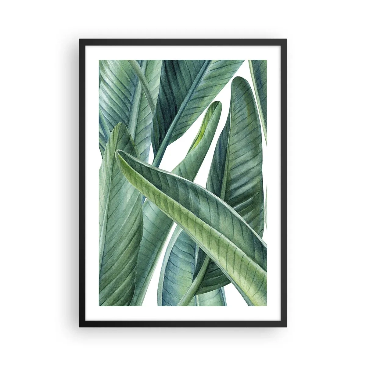 Pôster com moldura preta - Folhas de bananeira verde em estilo aquarela - 50x70cm - O próprio verde - Decoração de parede moderna para a sala de estar e quarto ARTTOR