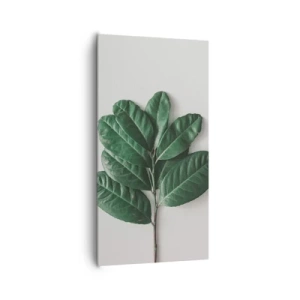 Quadro em tela - Desenho da própria natureza - 65x120 cm