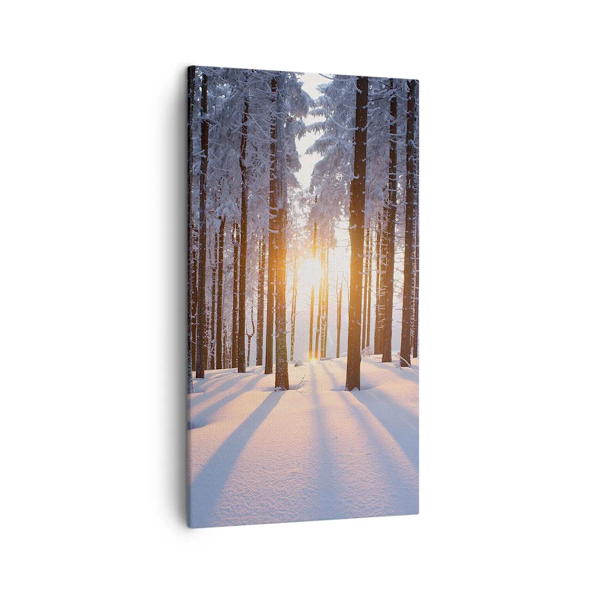 Quadro em tela - Preto no branco - 45x80 cm