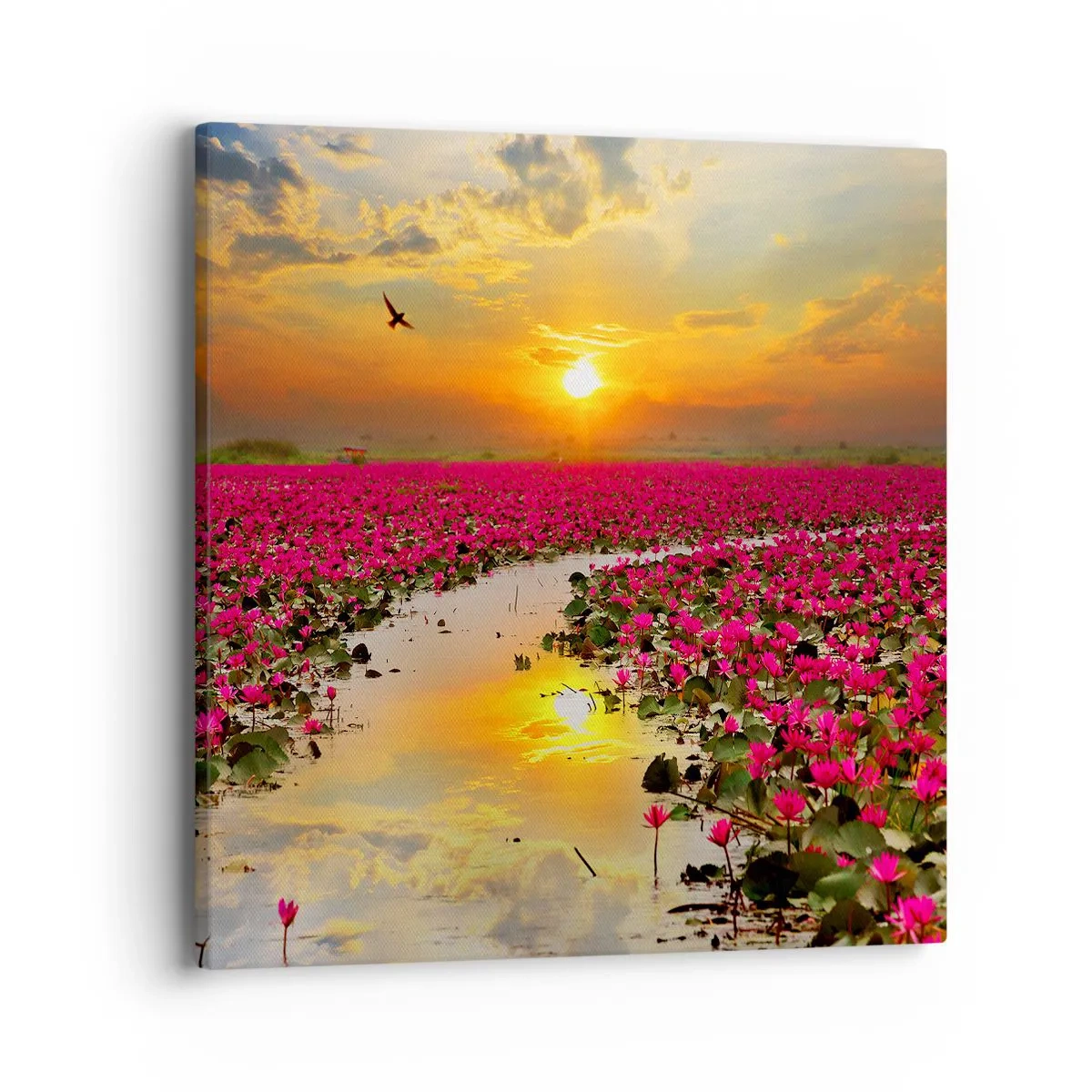 Quadro em tela - A vida secreta do lago - 40x40 cm