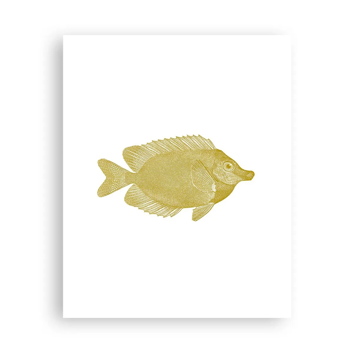 Pôster - Peixe e pronto - 40x50 cm