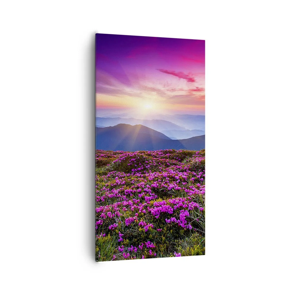 Quadro em tela - Campo cheiroso - 65x120 cm