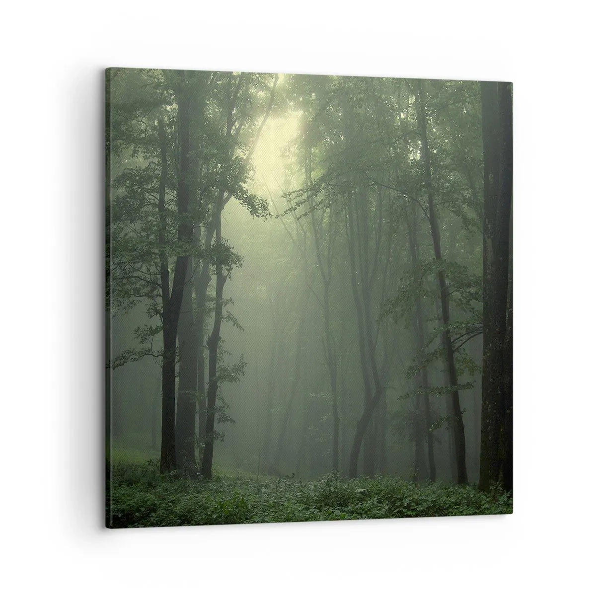 Quadro em tela - Antes de acordar - 50x50 cm