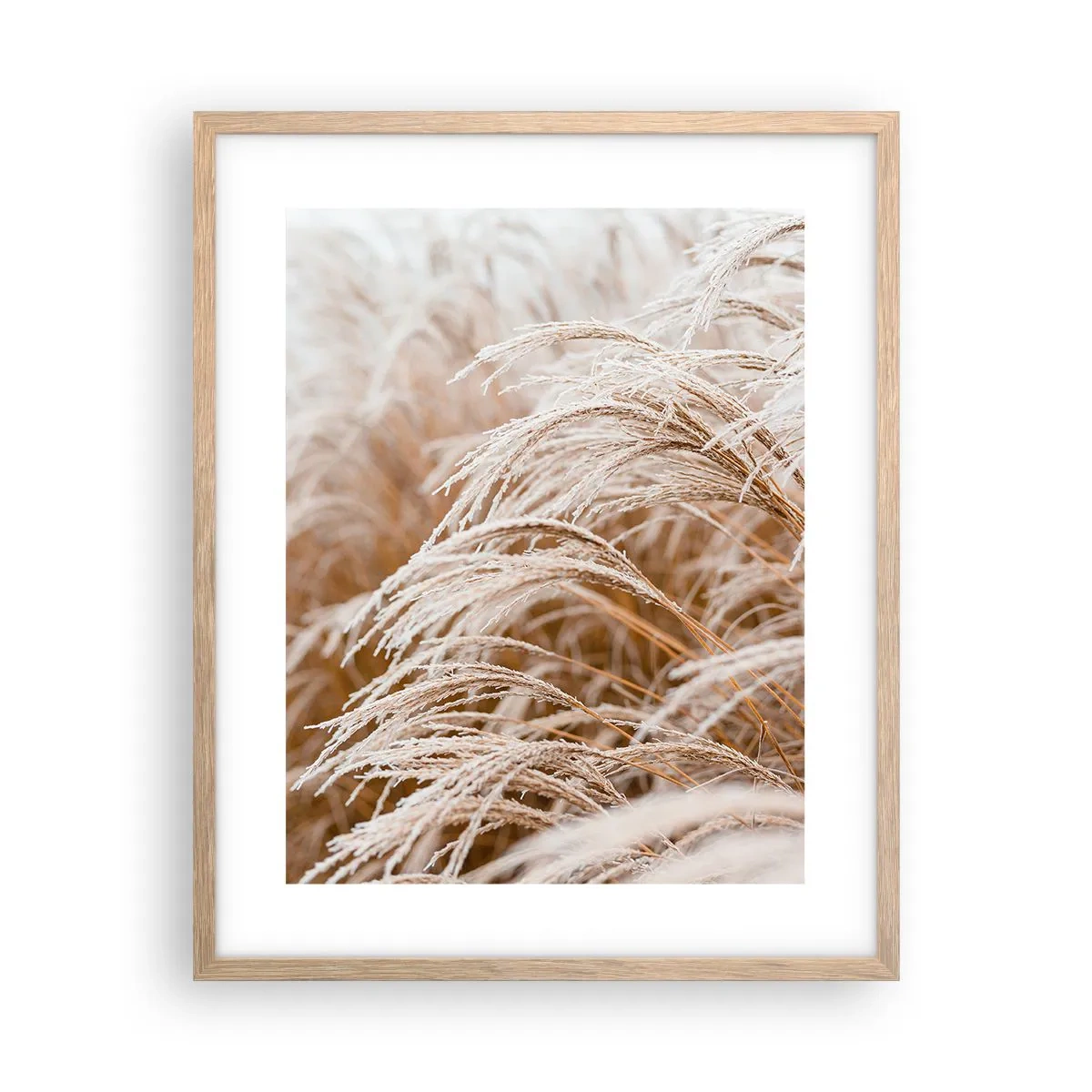 Pôster com moldura de carvalho claro - Curvar-se ao sol de outono - 40x50 cm