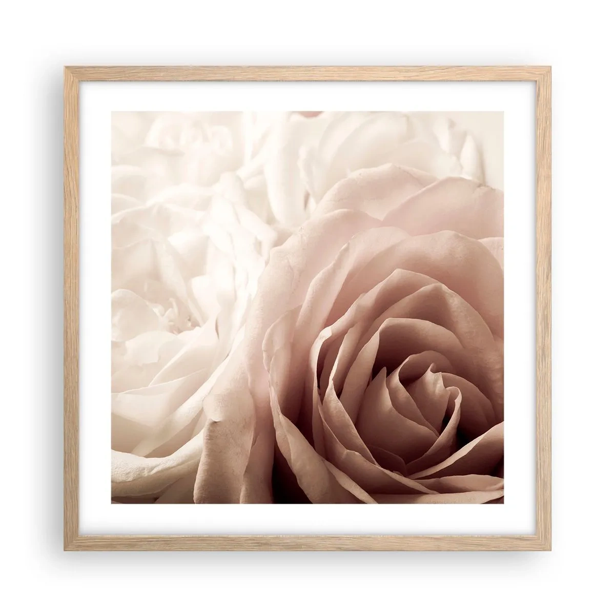 Pôster com moldura de carvalho claro - No coração de uma rosa - 50x50 cm