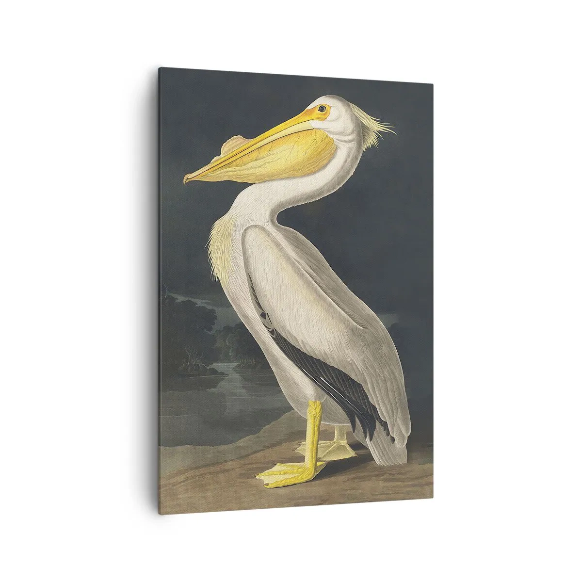 Quadro em tela - Cheio de orgulho - 70x100 cm