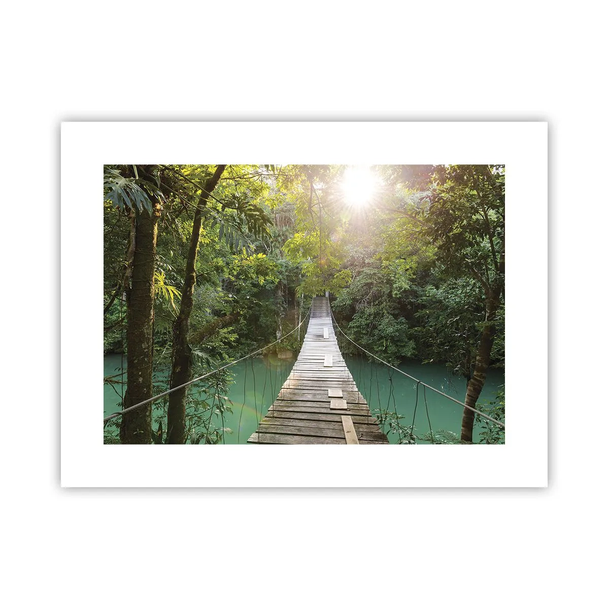 Pôster - Da água azul para a floresta azul - 40x30 cm