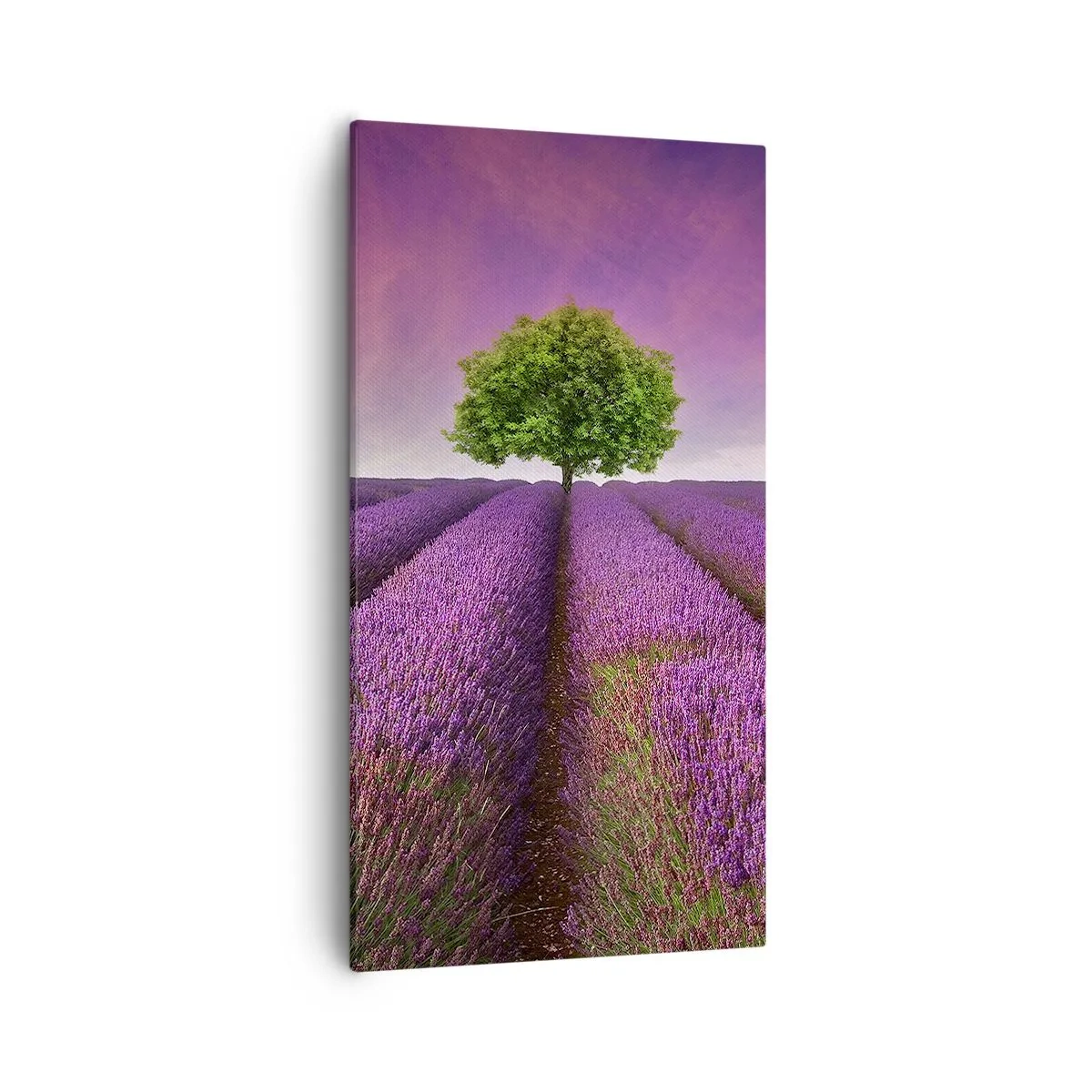 Quadro em tela - Nos campos de lavanda - 55x100 cm
