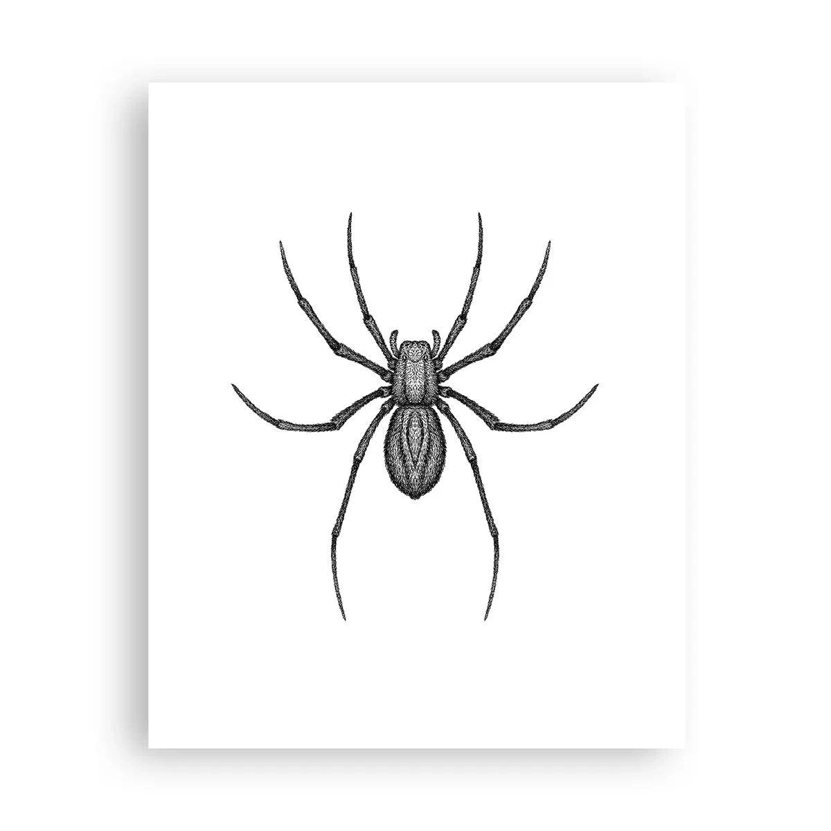 Pôster - Precisão perturbadora - 40x50 cm