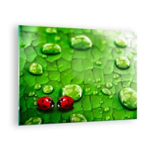 Quadro em vidro - Duas joaninhas em uma folha verde com gotas de água - 70x50cm - Reunião em verde - Decoração de parede moderna para a sala de estar e quarto ARTTOR