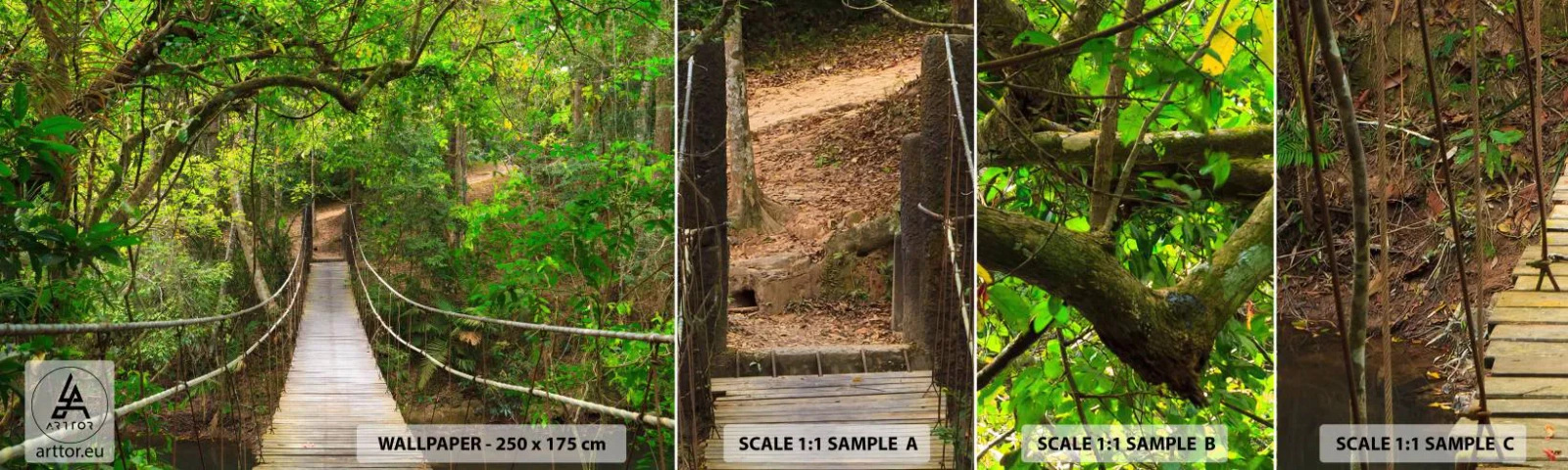 Amostra de Papel de Parede Standard Eco - Porque há uma videira a crescer no jardim - Paisagem, Floresta, Natureza - 100x30 cm