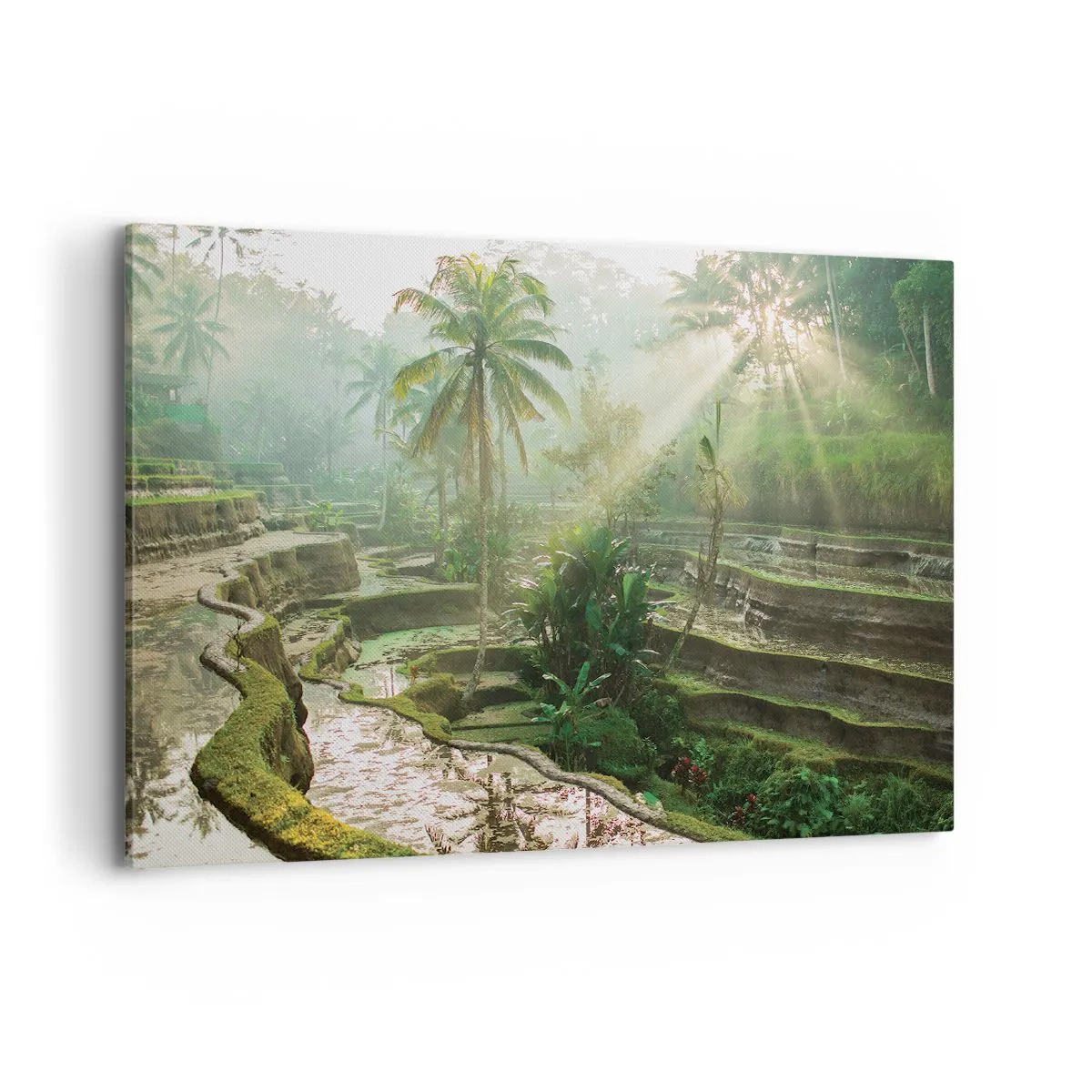 Quadro em tela - Crescer ao sol - 100x70 cm