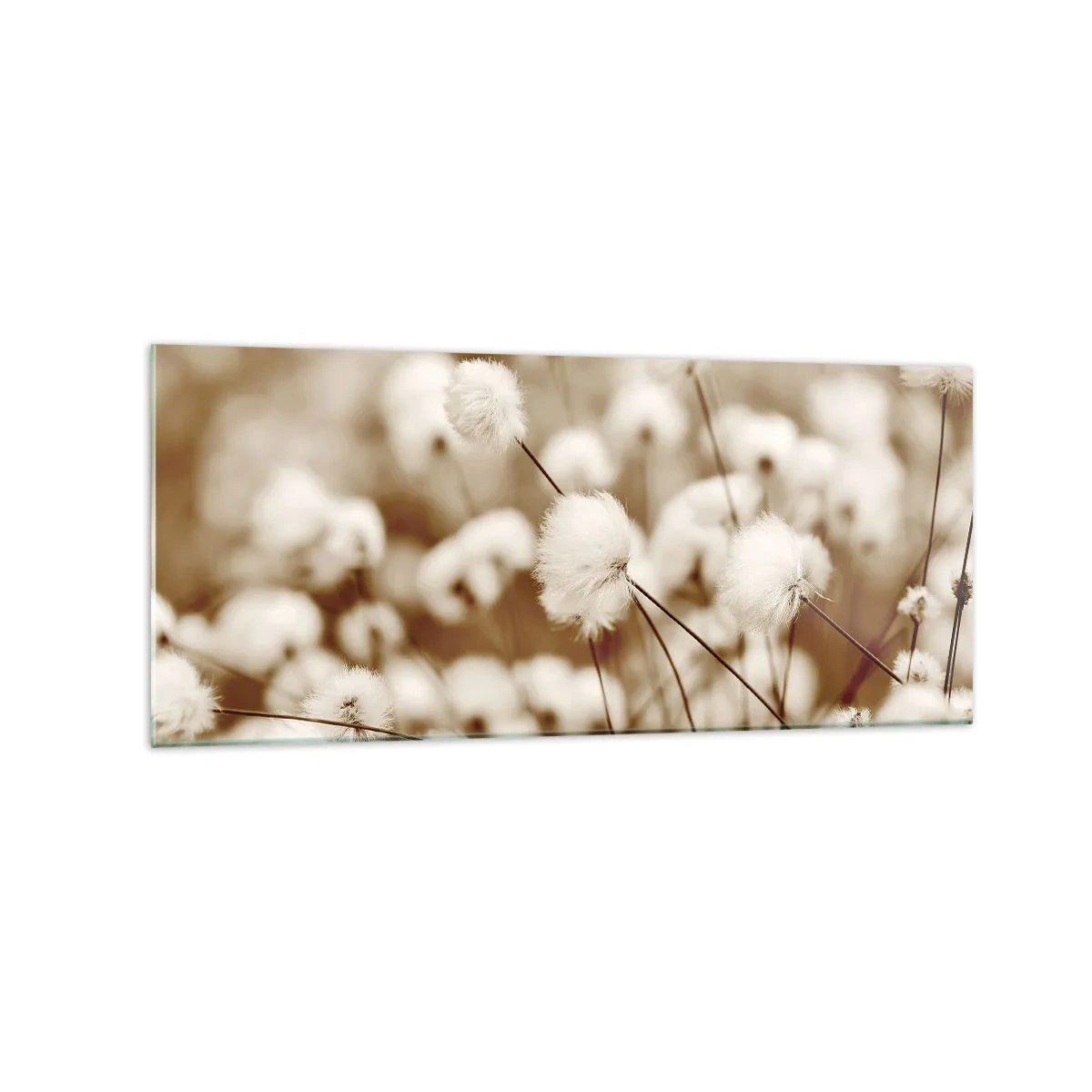 Quadro em vidro - Campos felpudos - 120x50 cm