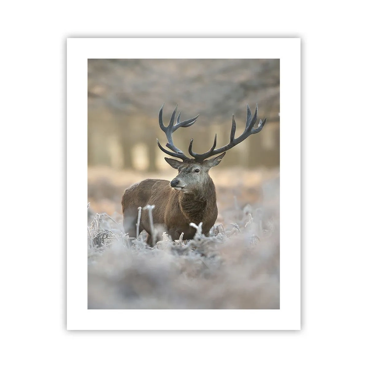 Pôster - Uma manhã fresca - 40x50 cm