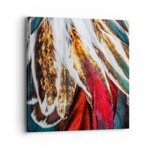 Quadro em tela - Segredos de vôo - 40x40 cm