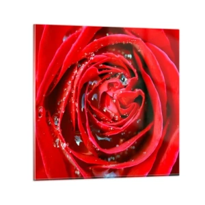 Quadro em vidro - Em gotas de orvalho - 30x30 cm