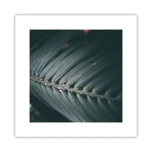 Pôster - A precisão da natureza - 30x30 cm