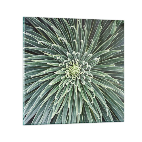 Quadro em vidro - Nasce uma estrela - 50x50 cm