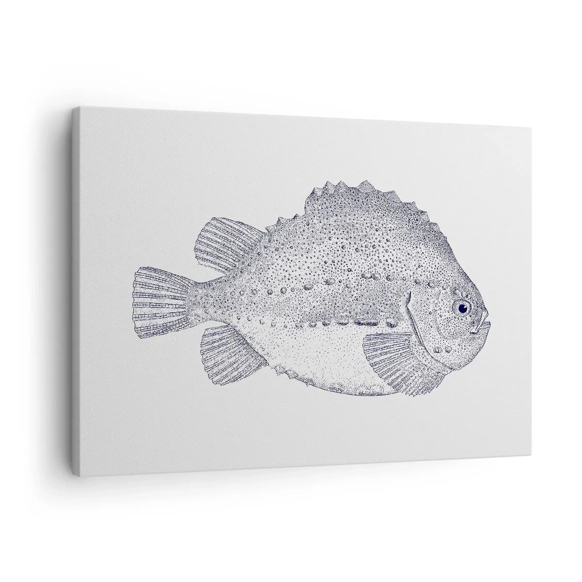 Quadro em tela - Desenho em preto e branco de um peixe sobre fundo branco em estilo minimalista - 70x50cm - Para o álbum do naturalista - Decoração de parede moderna para a sala de estar e quarto ARTTOR