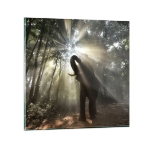 Quadro em vidro - Sob a estrela da sorte - 70x70 cm