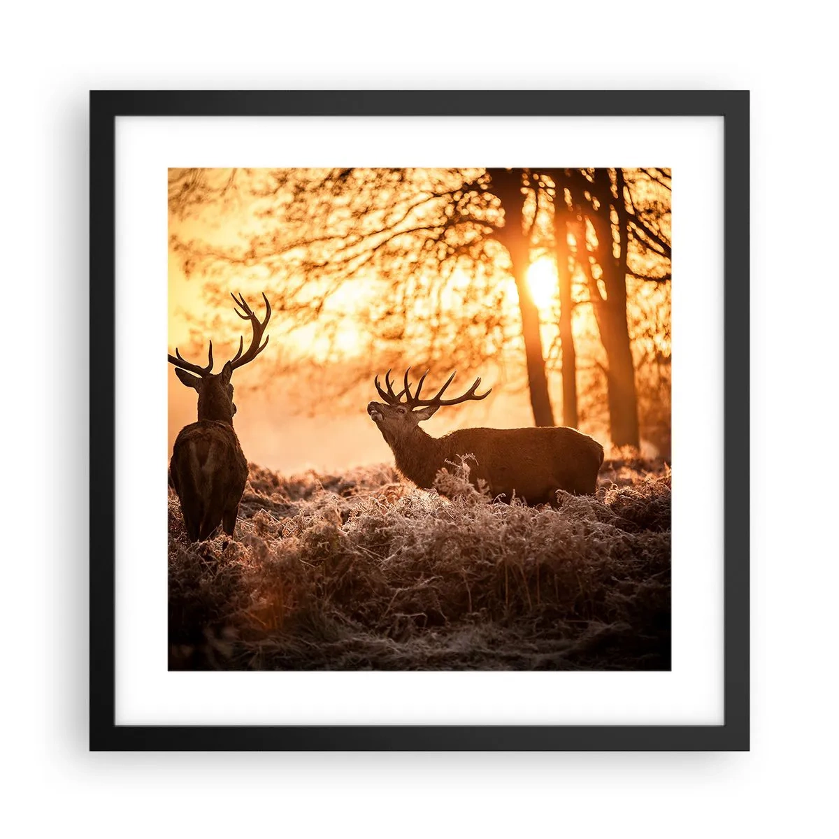 Pôster com moldura preta - O sonho do caçador - 40x40 cm