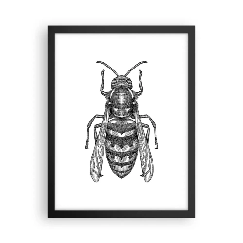 Pôster com moldura preta - De um planeta de insetos - 30x40 cm