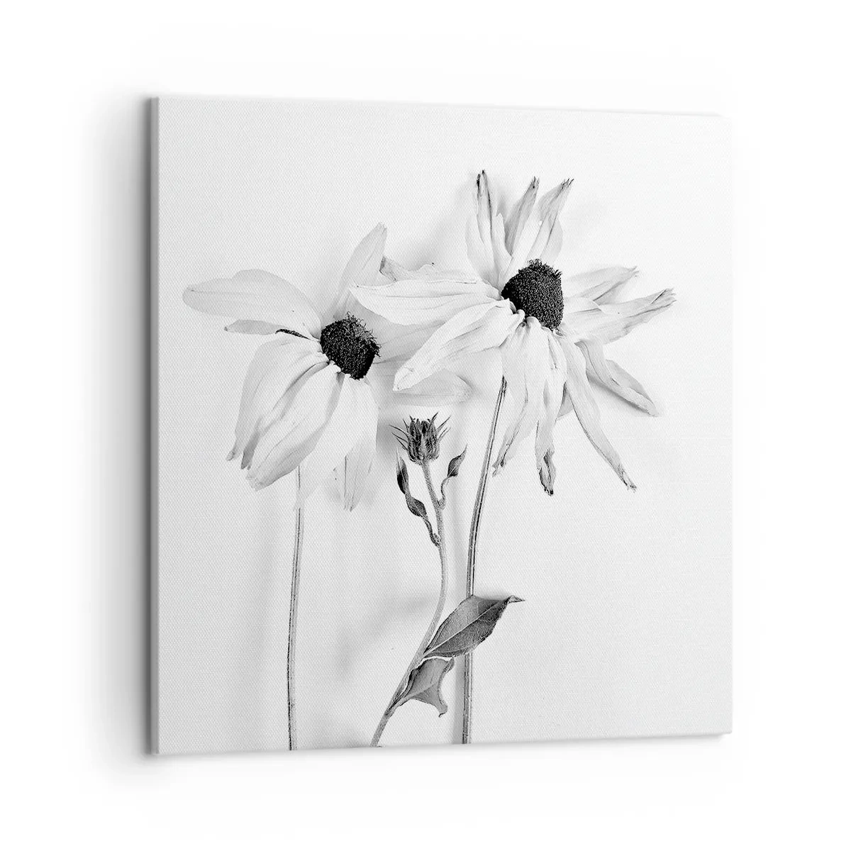 Quadro em tela - Ninguém quer estar sozinho - 50x50 cm