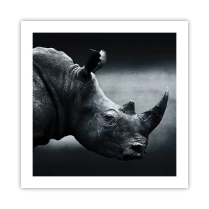 Pôster - Perfil direito - 50x50 cm