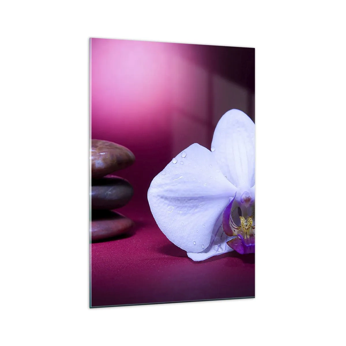 Quadro em vidro - O estudo do frescor em roxo - 70x100 cm