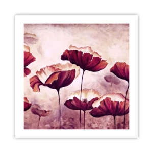 Pôster - Pétala vermelha e branca - 50x50 cm