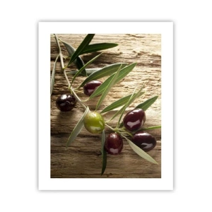 Pôster - Direto da natureza - 40x50 cm