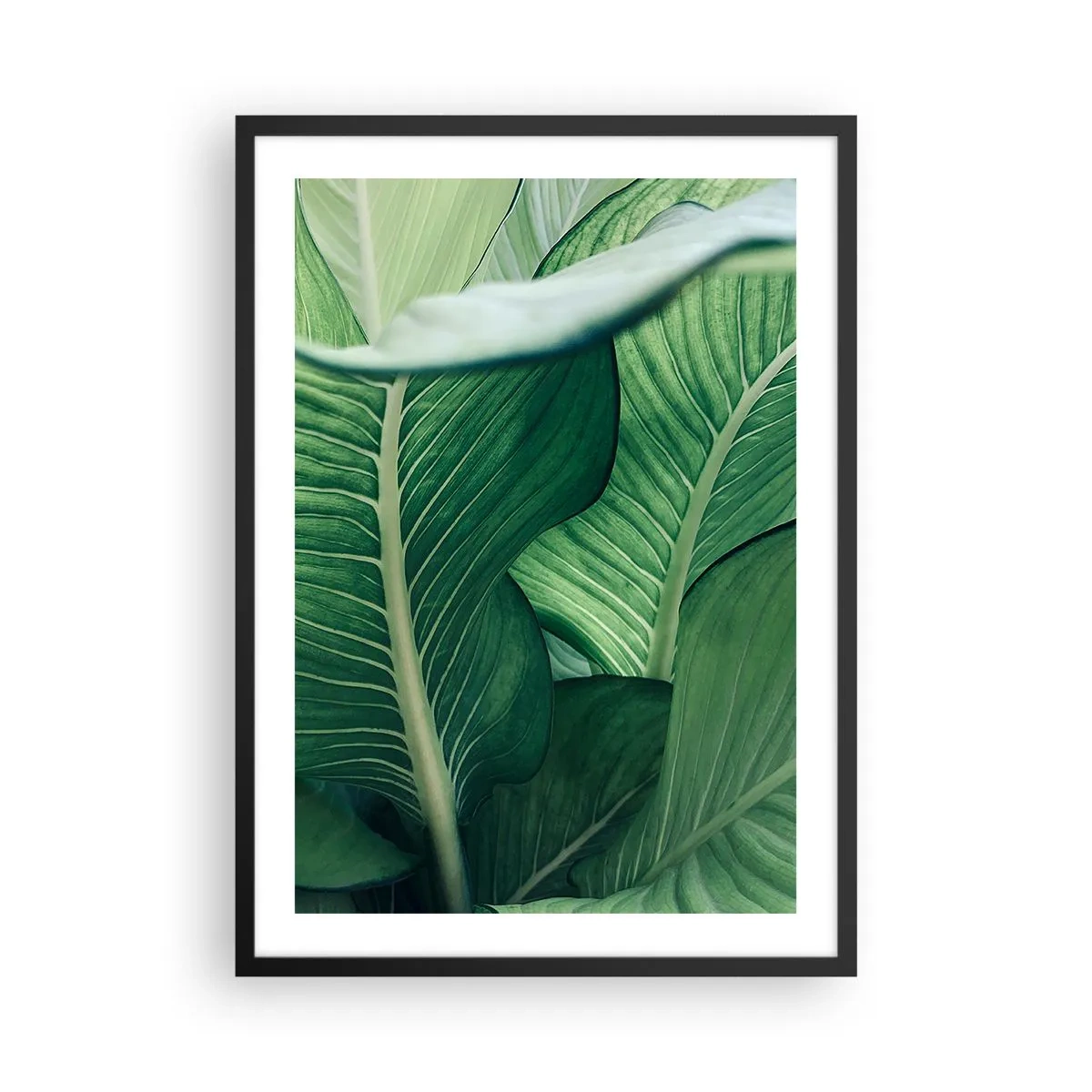 Pôster com moldura preta - Close-up das folhas verdes de uma planta - 50x70cm - Vida intensamente verde - Decoração de parede moderna para a sala de estar e quarto ARTTOR