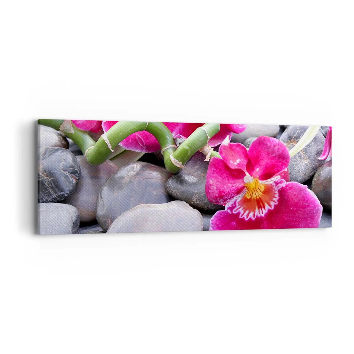 Quadro em tela - Frio e calor - 90x30 cm