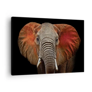 Quadro em tela - Retrato de um elefante em um fundo preto - 70x50cm - Eu sou selvagem, e você? - Decoração de parede moderna para a sala de estar e quarto ARTTOR