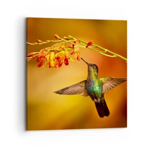 Quadro em tela - Mensageiro Maia da Luz - 70x70 cm