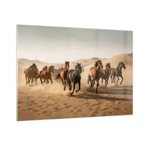 Quadro em vidro - Livre como o vento - 100x70 cm