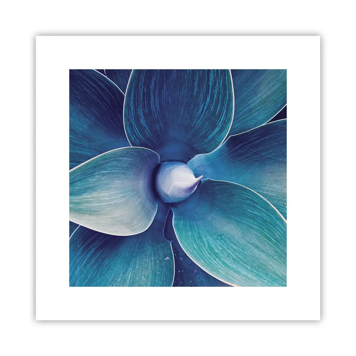 Pôster - O azul do céu - 30x30 cm
