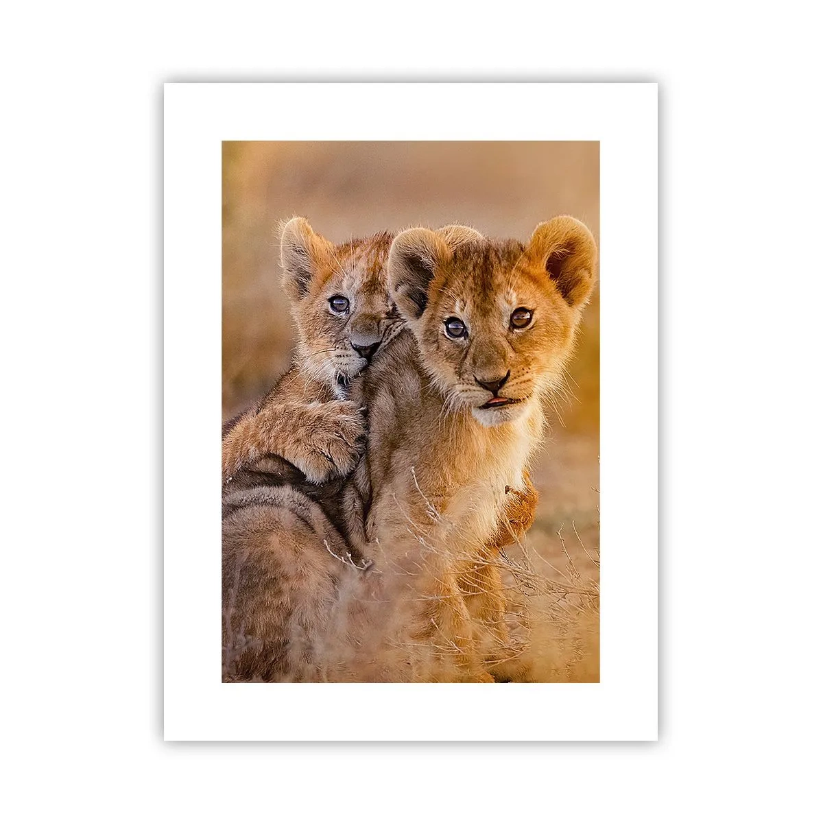 Pôster - Não perturbe! Estamos a divertir-nos - 30x40 cm