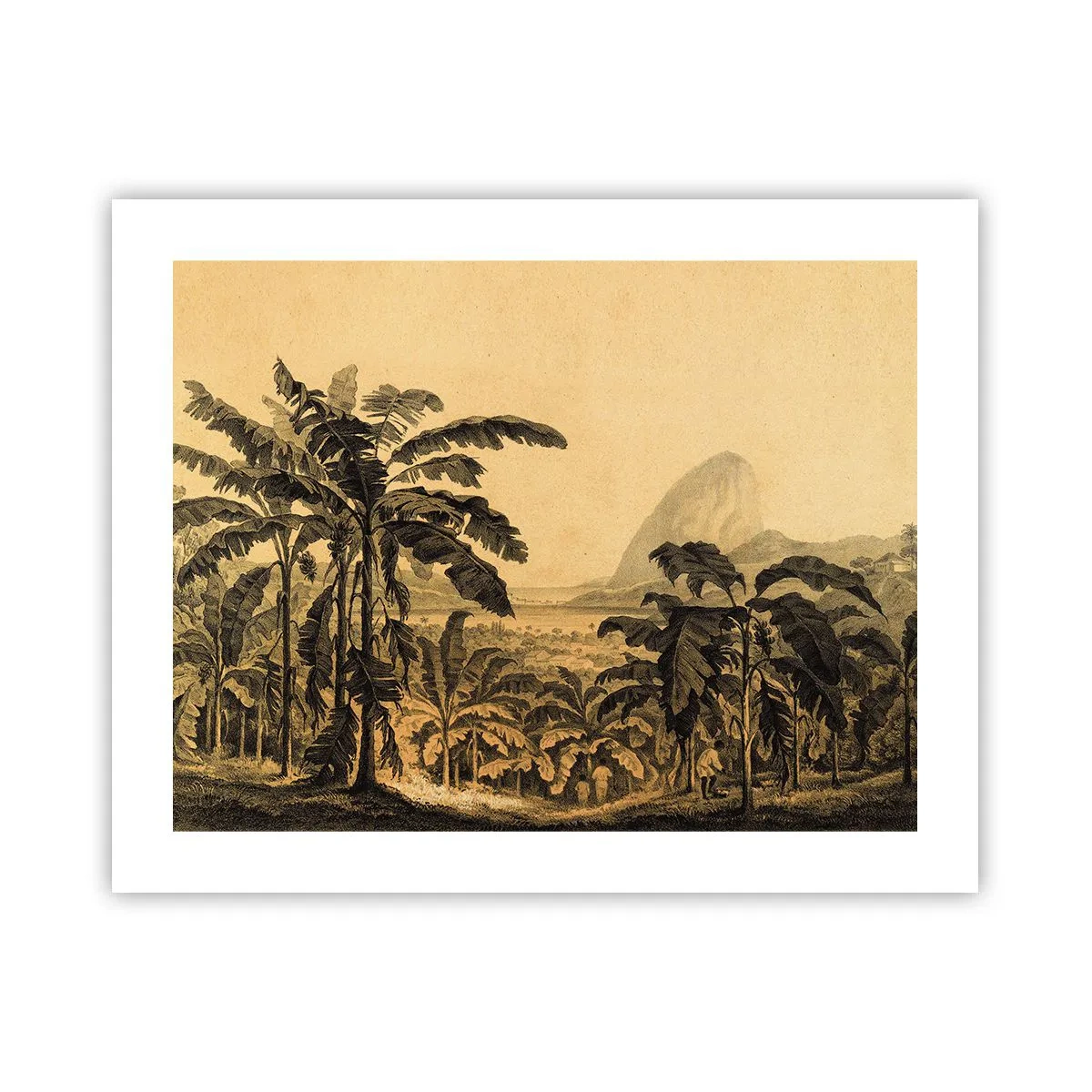 Pôster - num clima colonial - 50x40 cm