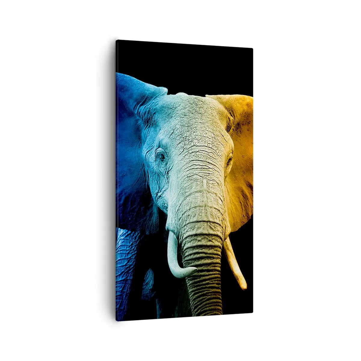 Quadro em tela - Excêntrico, não esquisito - 55x100 cm