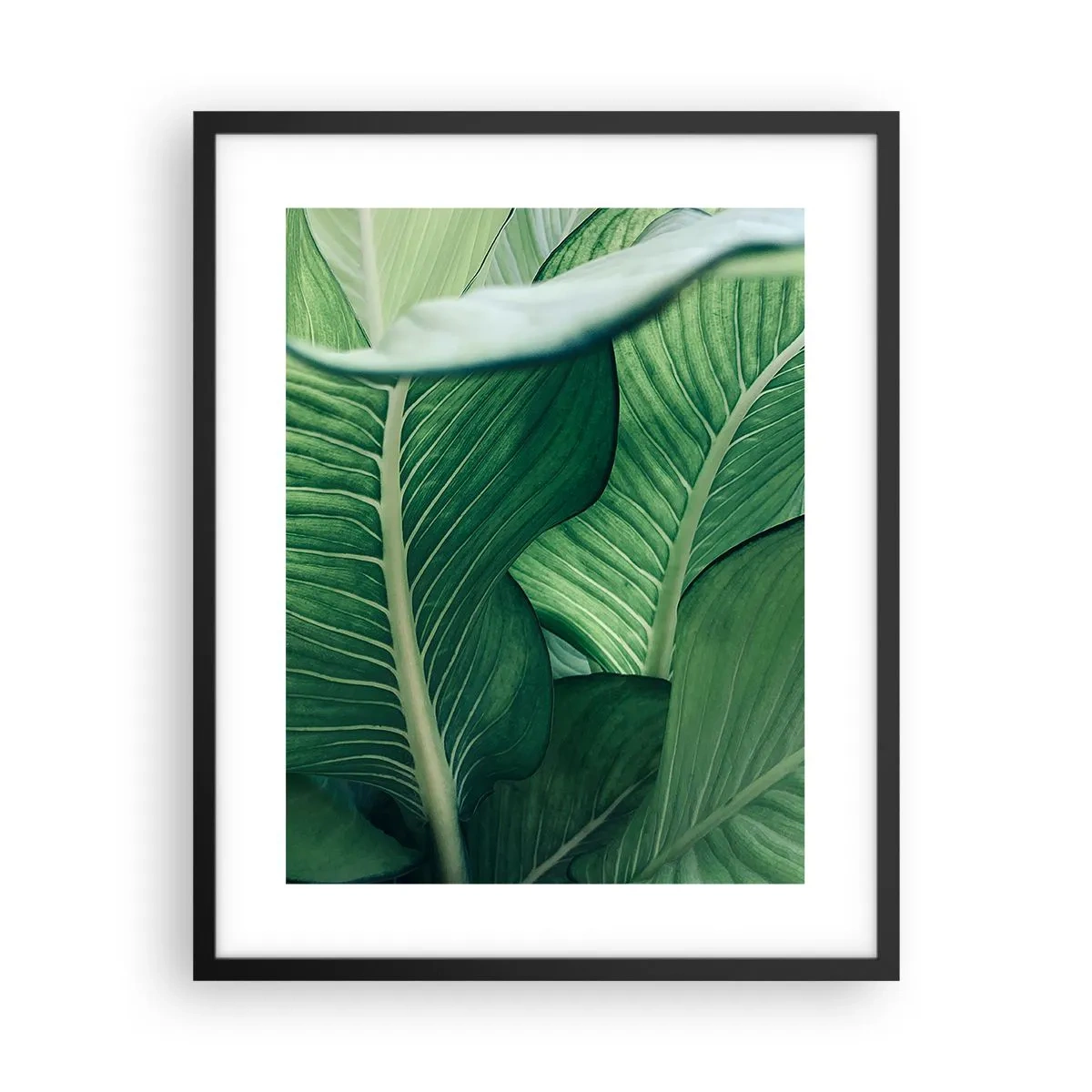 Pôster com moldura preta - Vida intensamente verde - 40x50 cm