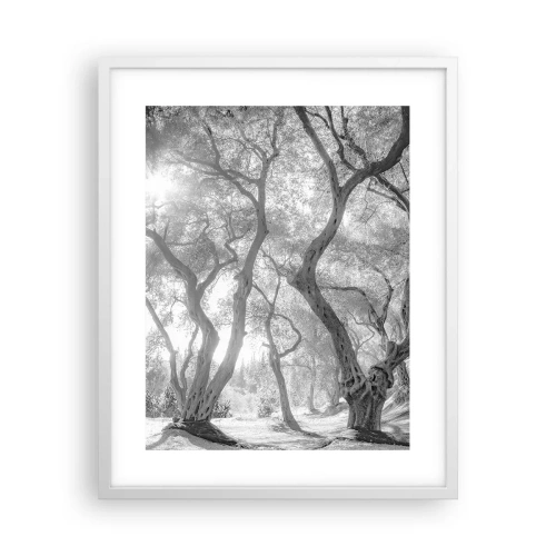 Pôster em moldura branca - No olival - 40x50 cm