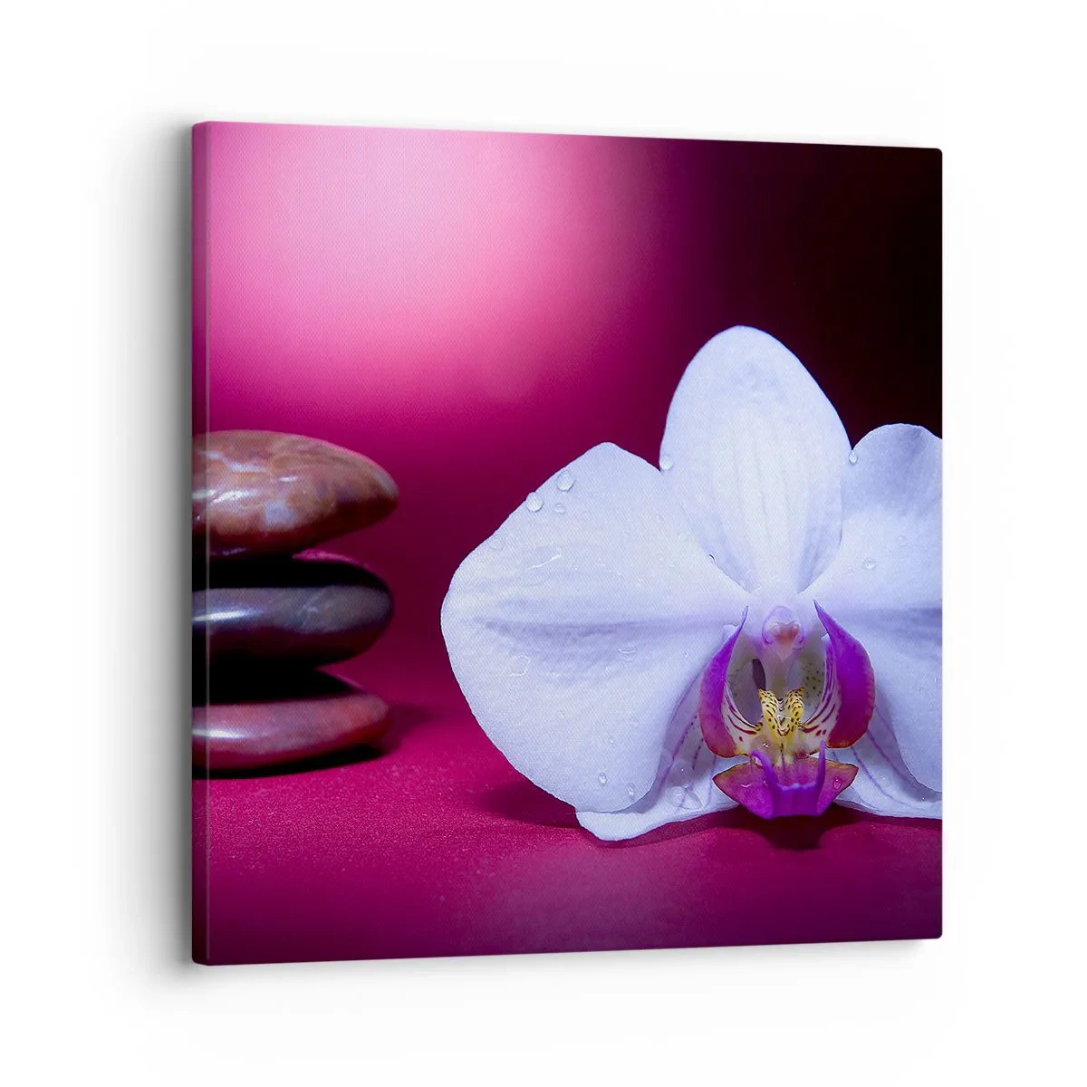 Quadro em tela - O estudo do frescor em roxo - 30x30 cm