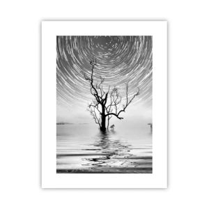 Pôster - Sinfonia da natureza - 30x40 cm