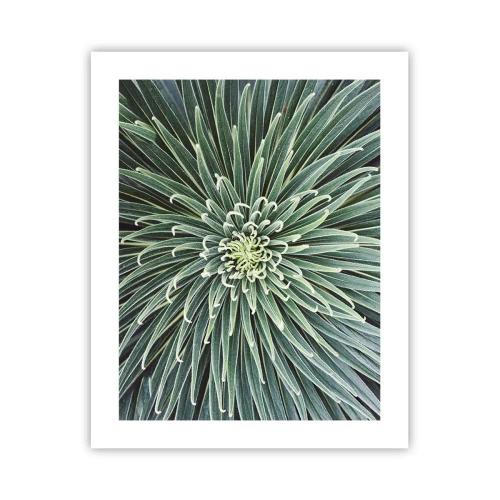 Pôster - Nasce uma estrela - 40x50 cm