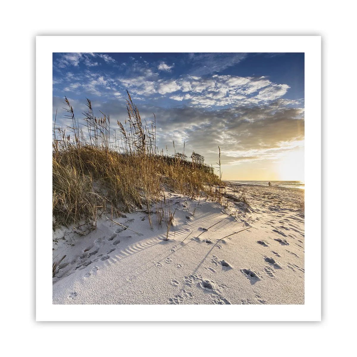 Pôster - Um convite para um passeio - 60x60 cm