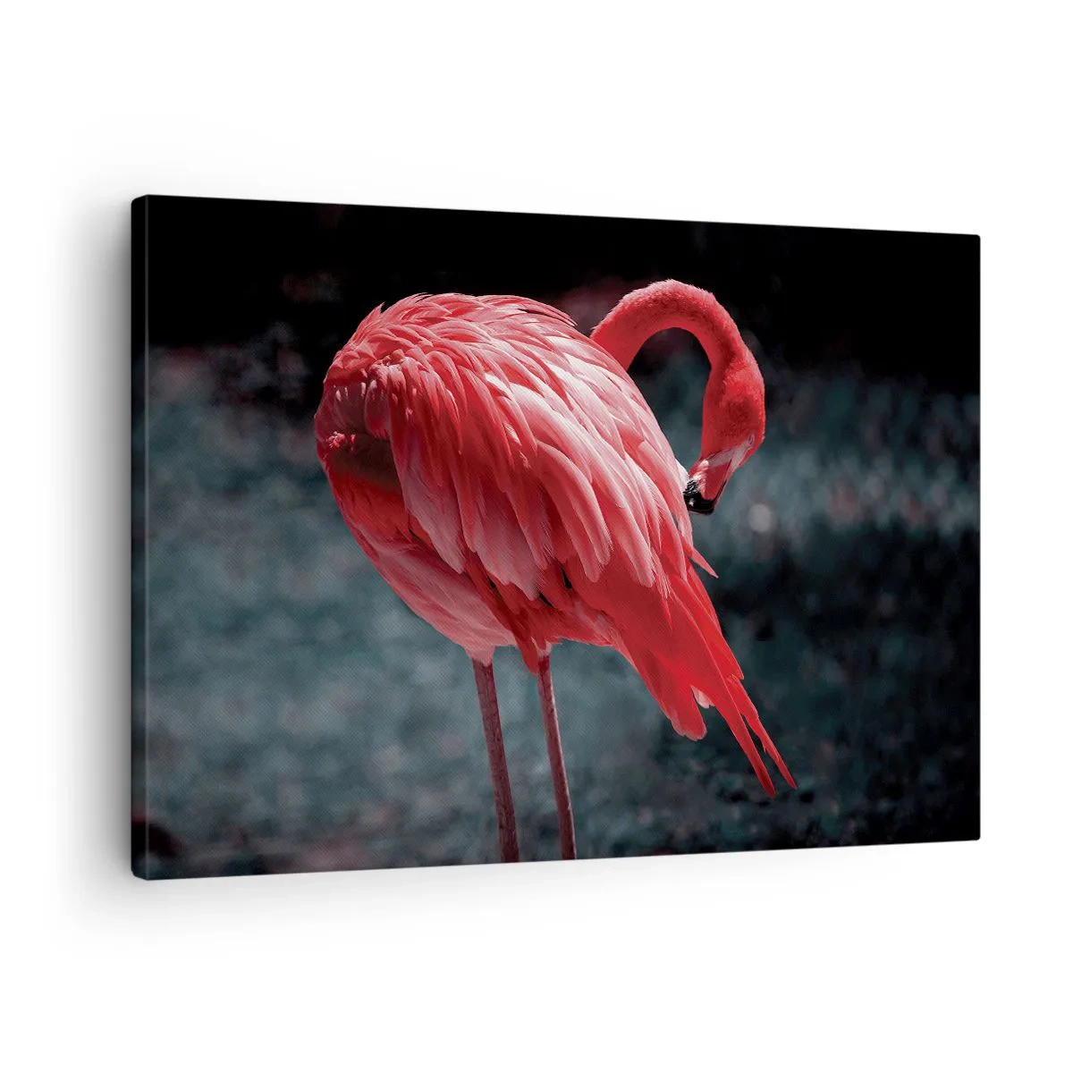 Quadro em tela - Um flamingo rosa em um fundo verde escuro - 70x50cm - Poema carmesim da natureza - Decoração de parede moderna para a sala de estar e quarto ARTTOR